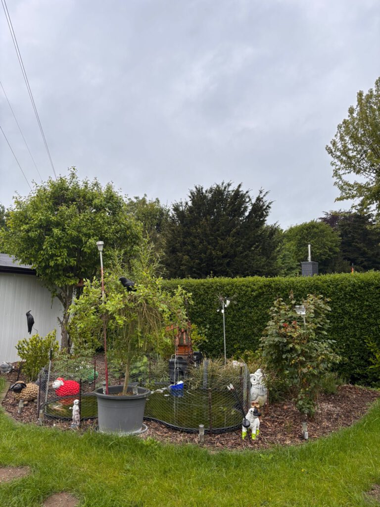 Foto 03.05.26, 17 35 50 (3) (1)