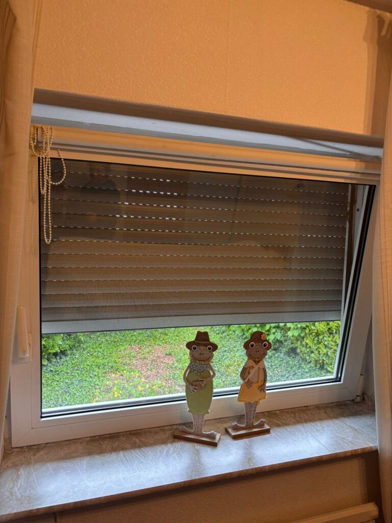 Foto 03.05.26, 17 35 57 (1)